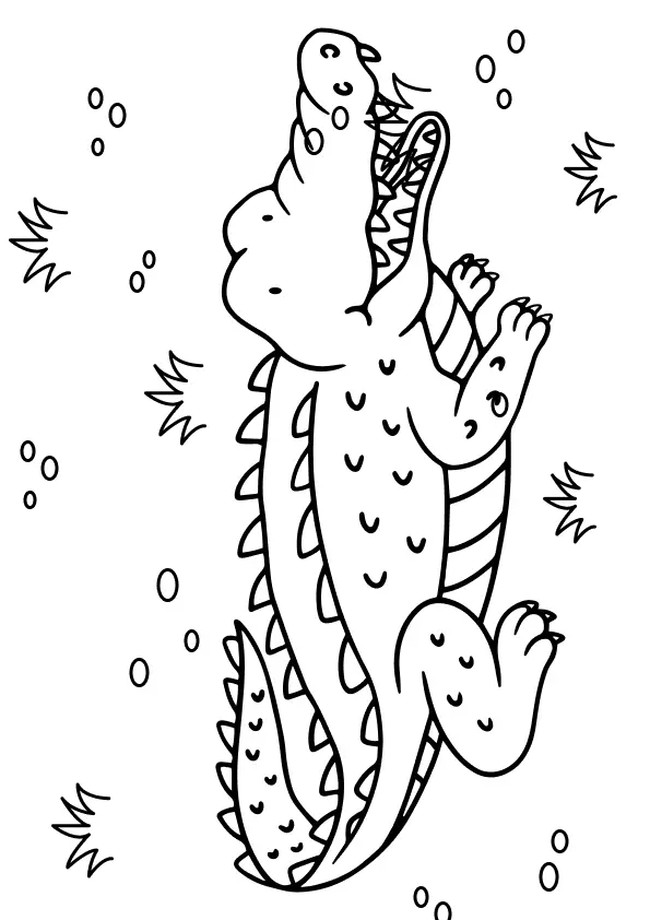 Alligator Coloring Pages – 009
