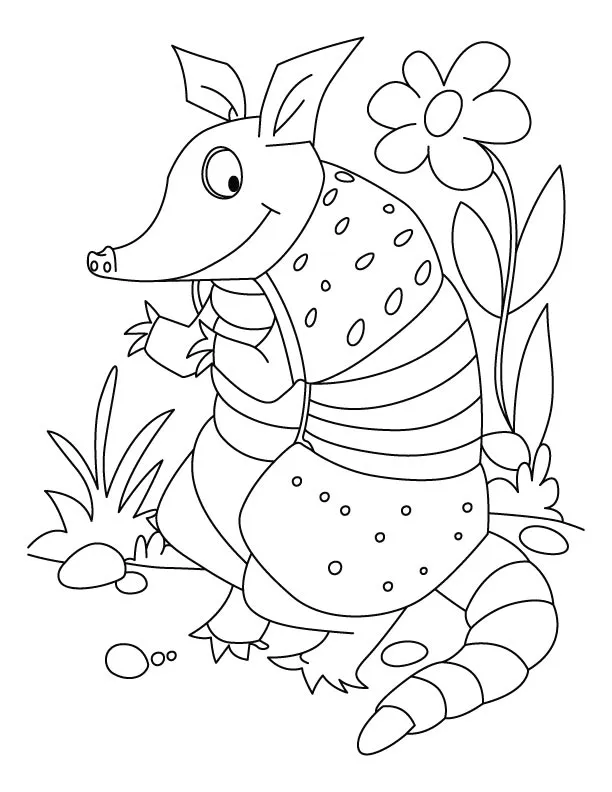 Armadillo Coloring Pages – 011