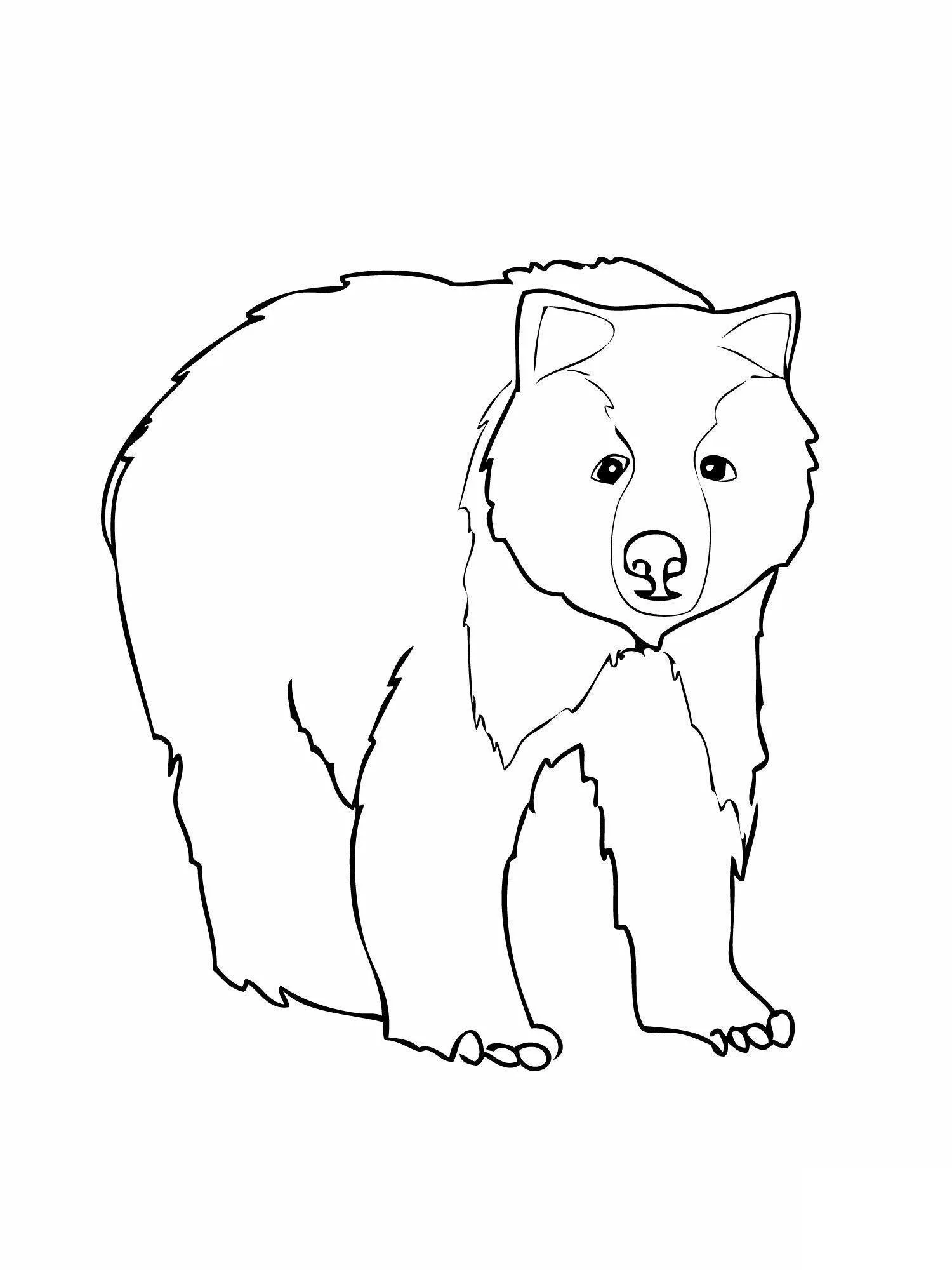 Bears Coloring Pages – 002