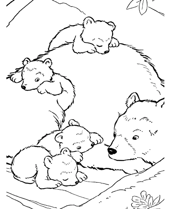 Bears Coloring Pages – 004