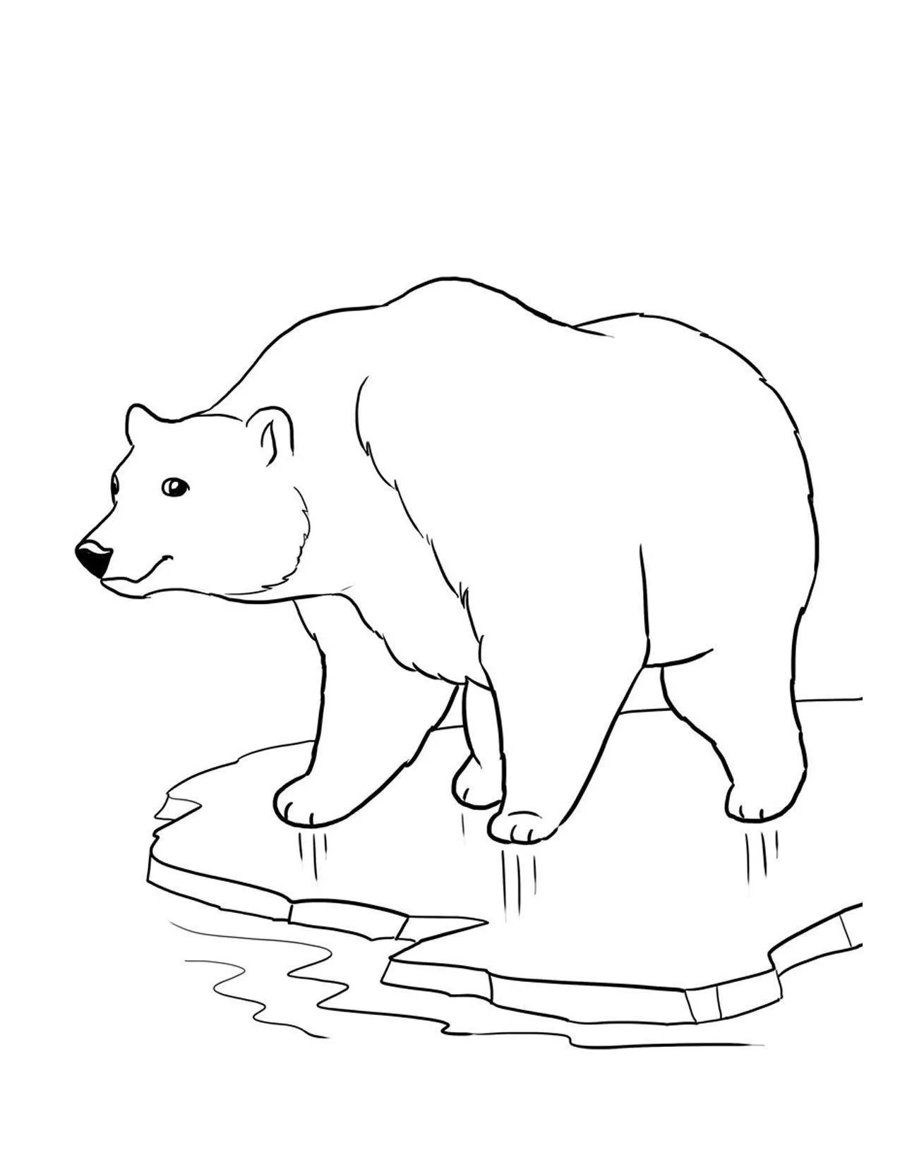 Bears Coloring Pages – 006
