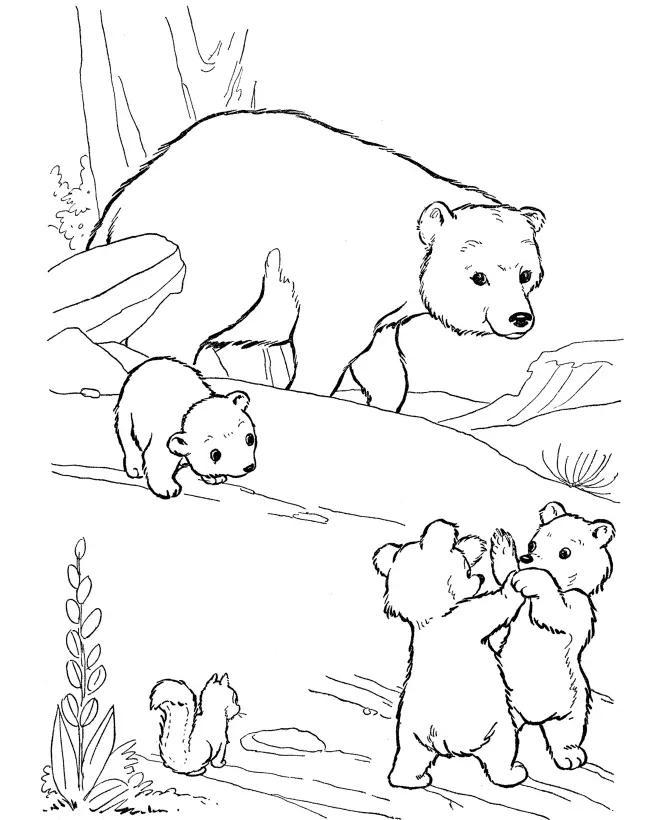 Bears Coloring Pages – 008