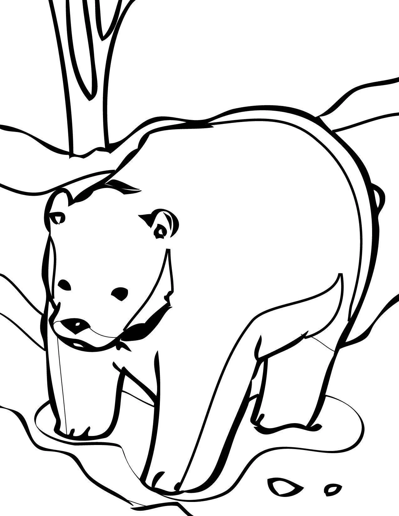 Bears Coloring Pages – 011