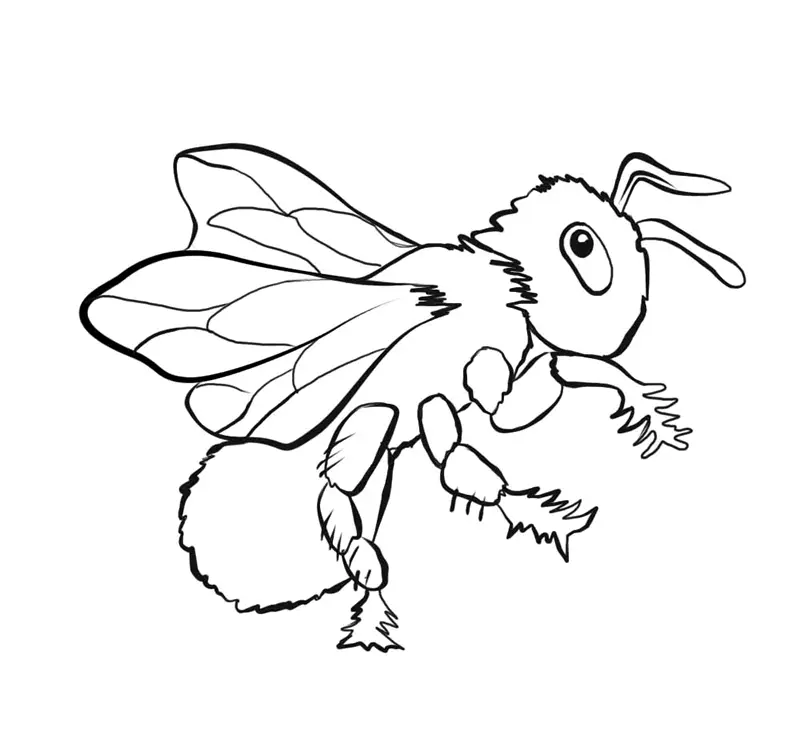 Bees Coloring Pages – 002