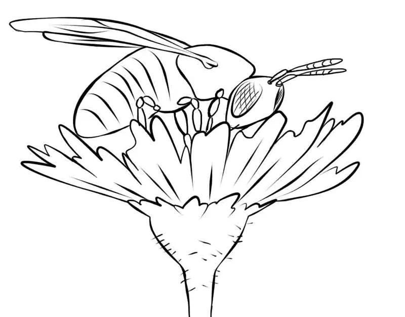 Bees Coloring Pages – 015