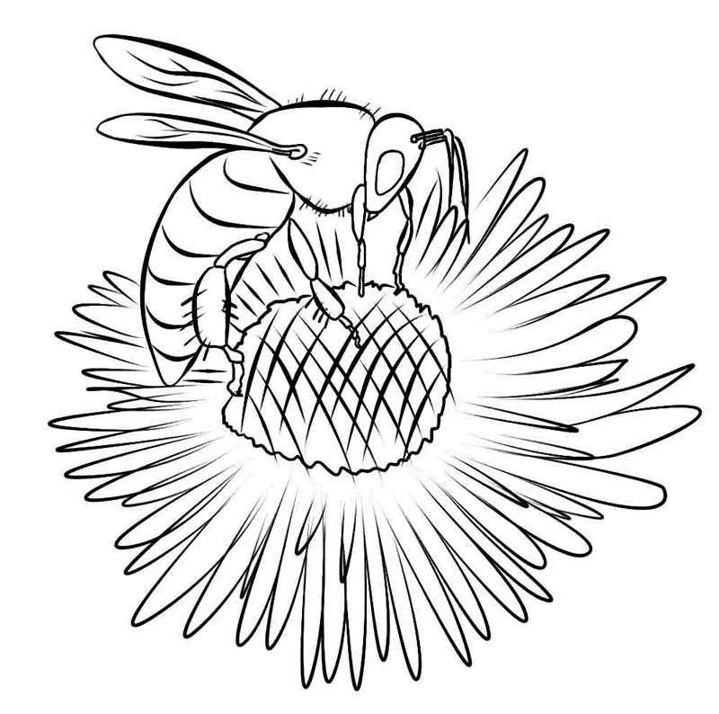 Bees Coloring Pages – 016