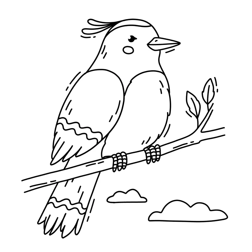 Birds Coloring Pages – 010