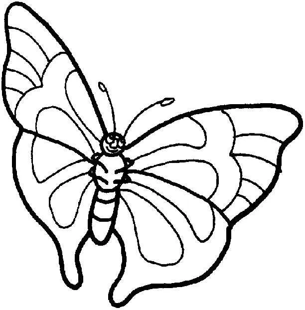 Butterflies Coloring Pages – 002