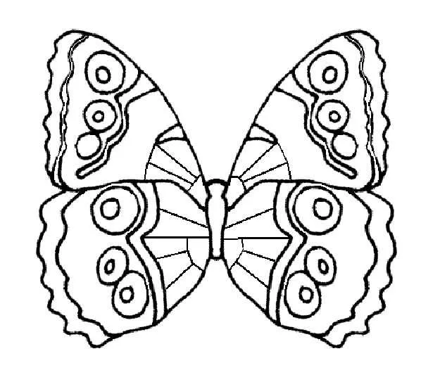 Butterflies Coloring Pages – 005