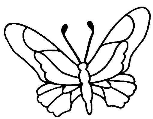 Butterflies Coloring Pages – 007
