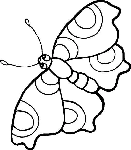 Butterflies Coloring Pages – 010