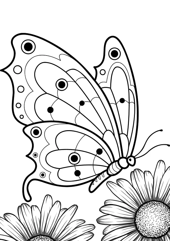 Butterflies Coloring Pages – 022