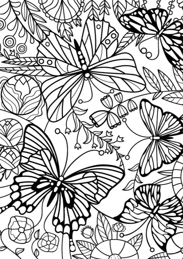 Butterflies Coloring Pages – 025