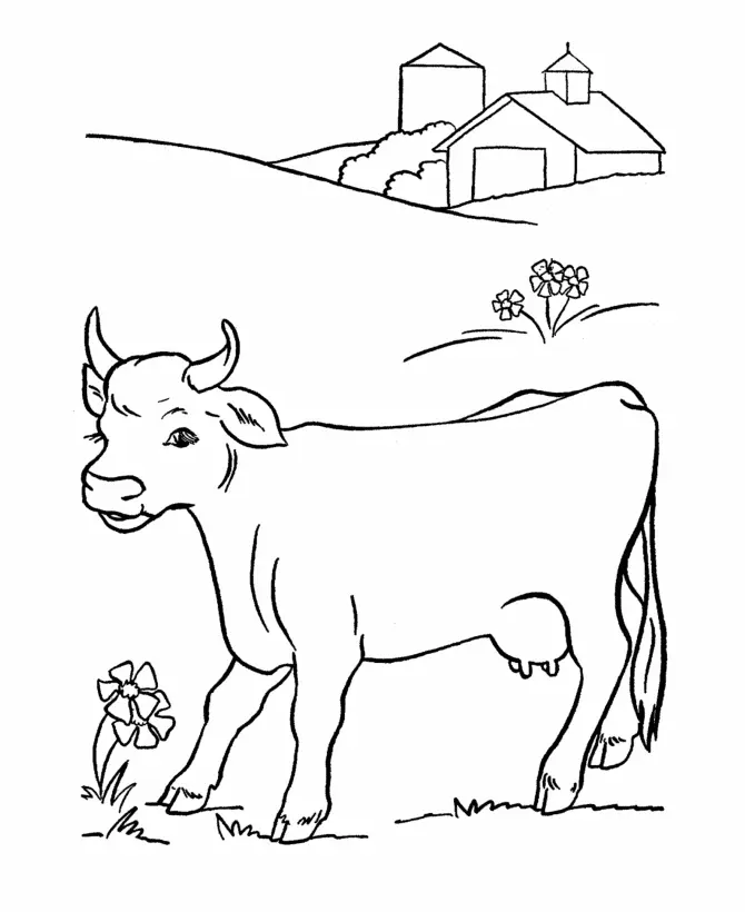 Cows Coloring Pages – 004
