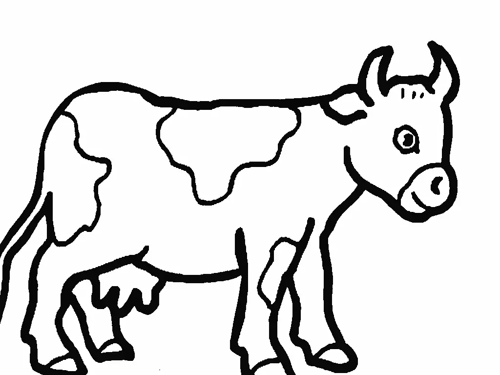Cows Coloring Pages – 010
