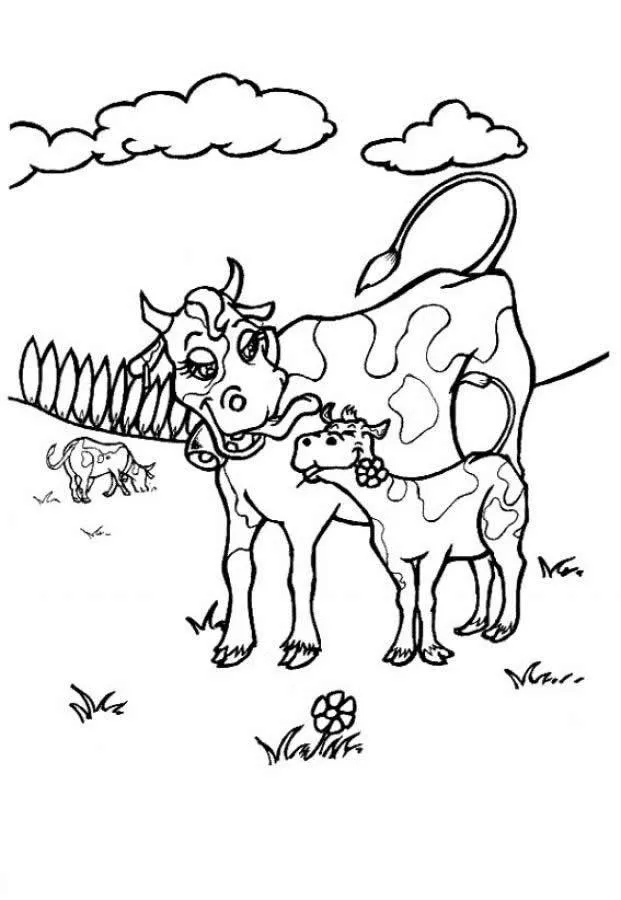 Cows Coloring Pages – 011