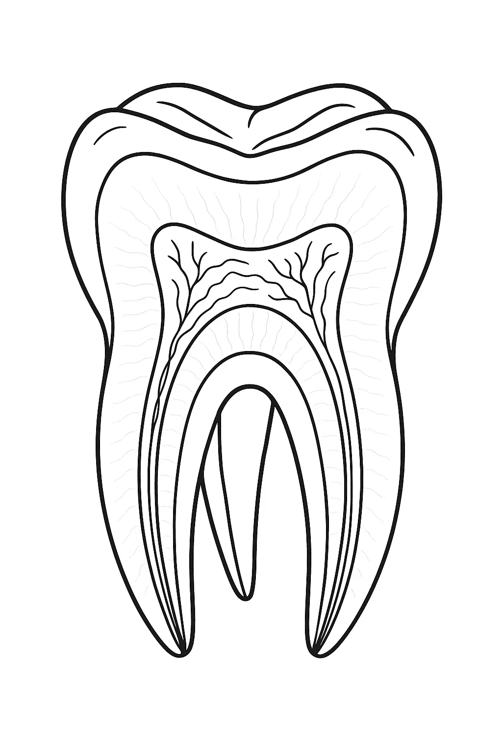 Dentists Coloring Pages – 020