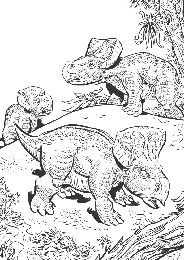 Dinosaurs Coloring Pages – 029