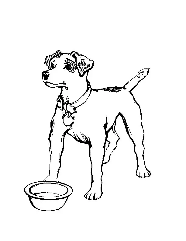 Dogs Coloring Pages – 002