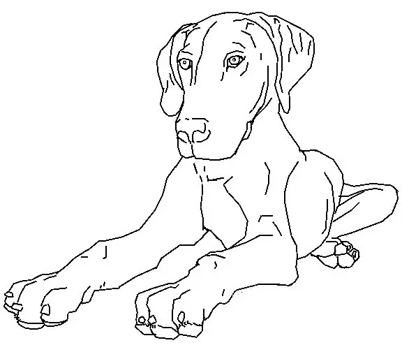 Dogs Coloring Pages – 005
