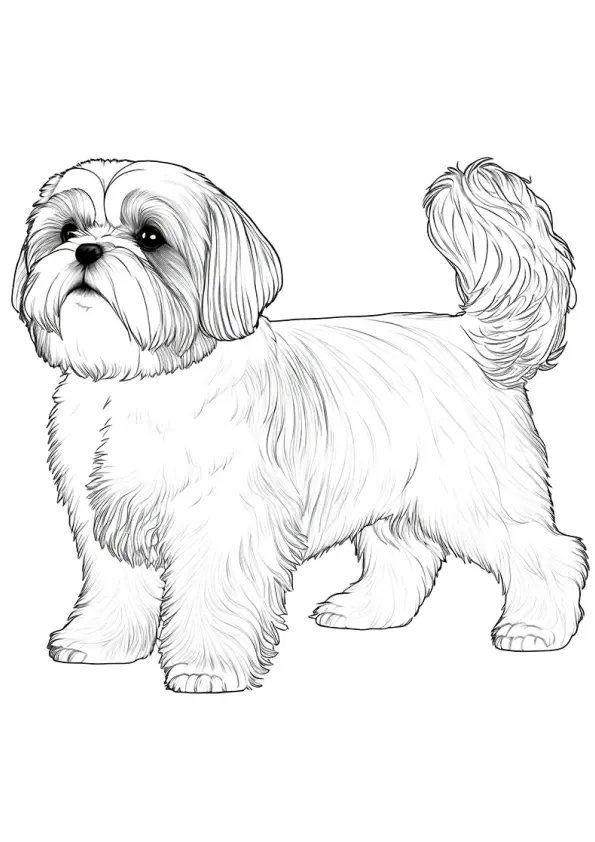 Dogs Coloring Pages – 054
