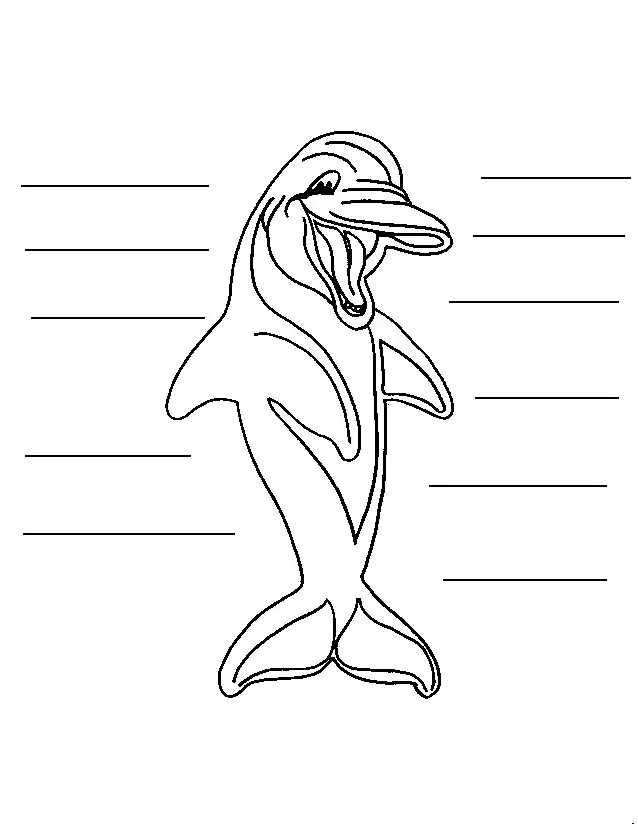 Dolphins Coloring Pages – 006