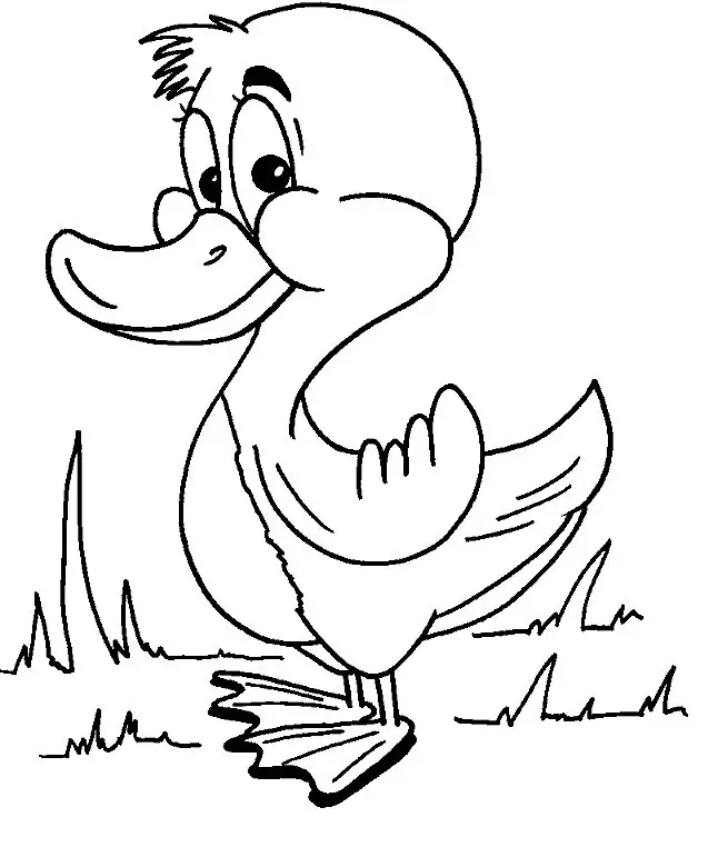 Ducklings Coloring Pages – 007
