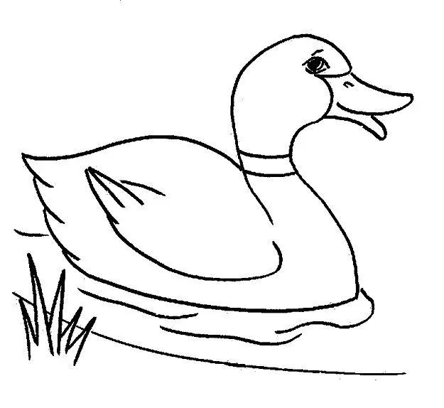 Ducklings Coloring Pages – 009