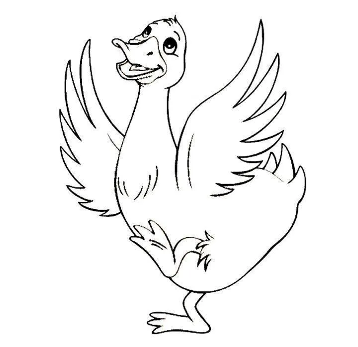 Ducklings Coloring Pages – 013