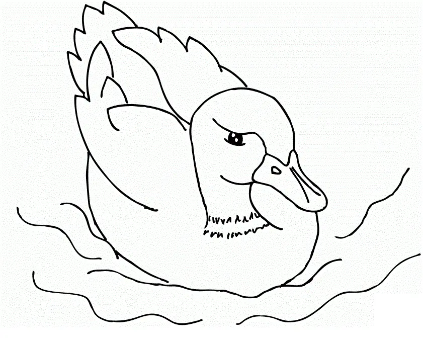 Ducklings Coloring Pages – 016