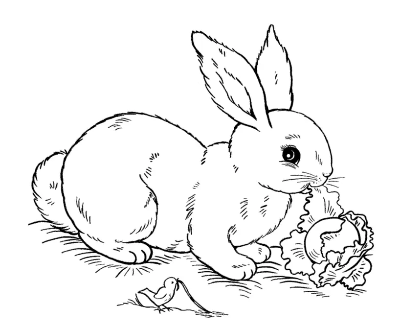 Easter Coloring Pages – 053