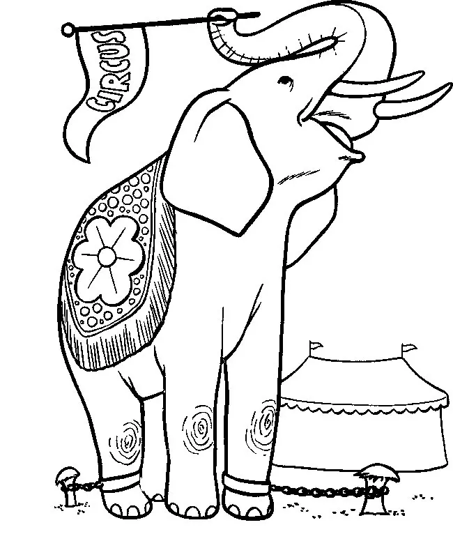Elephants Coloring Pages – 007