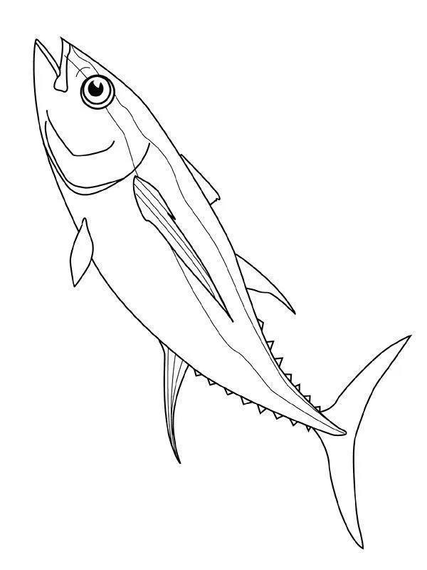 Fish Coloring Pages – 003