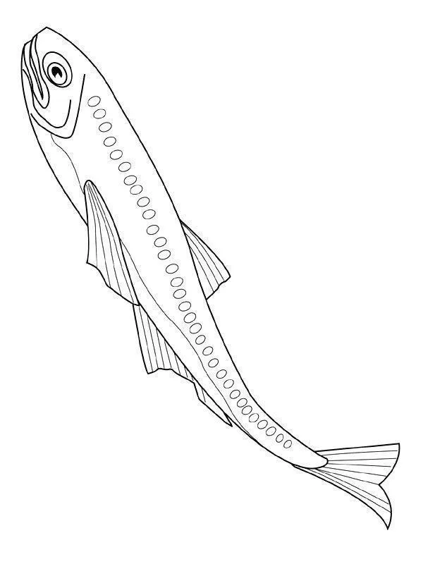 Fish Coloring Pages – 004