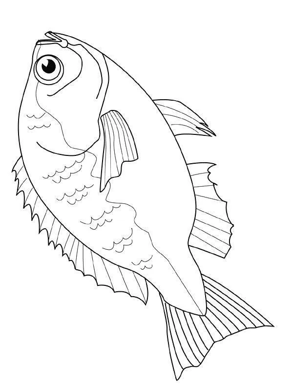 Fish Coloring Pages – 005