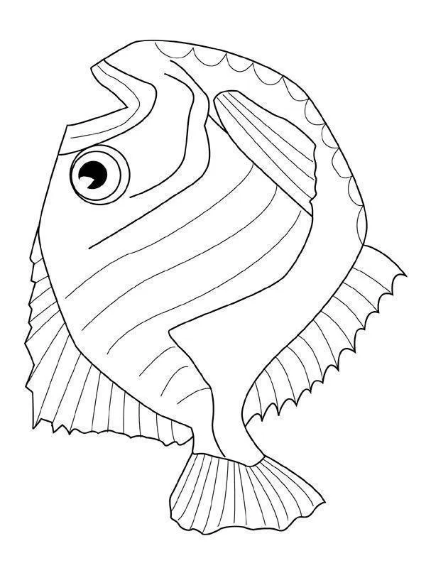 Fish Coloring Pages – 006