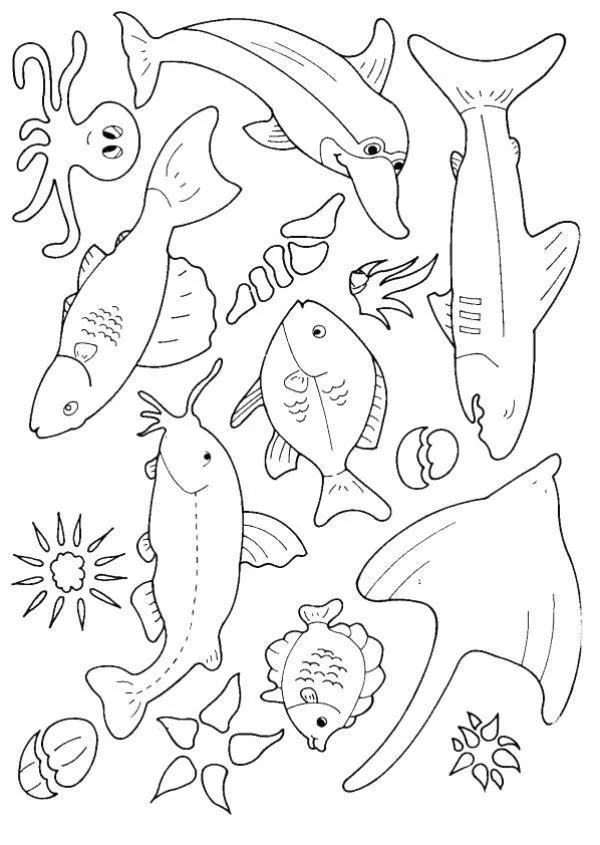 Fish Coloring Pages – 008