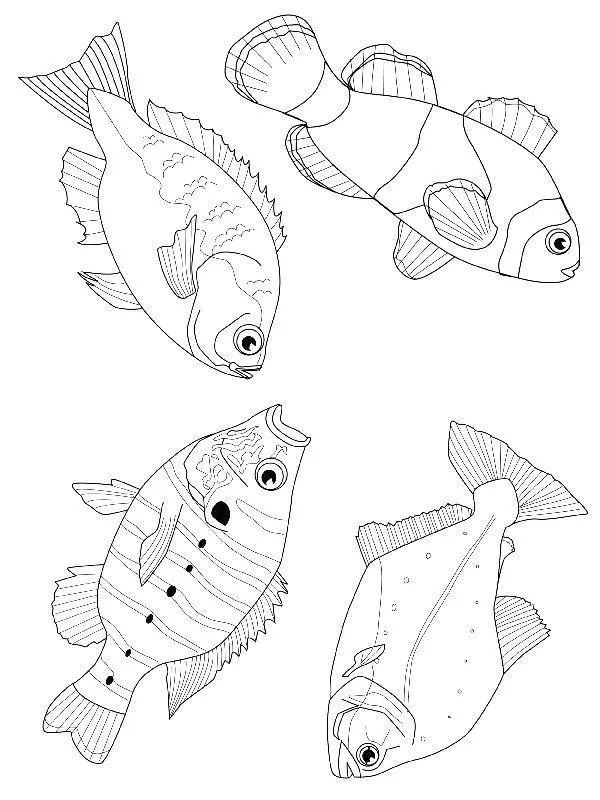 Fish Coloring Pages – 013