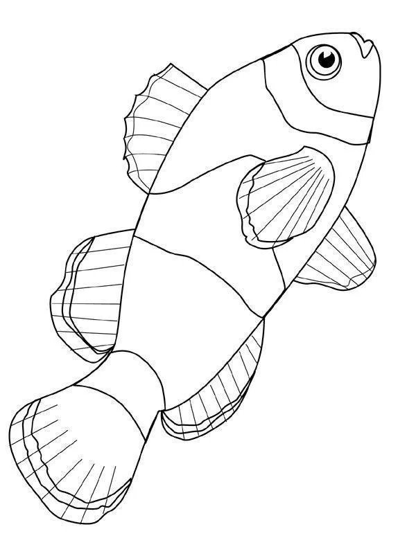 Fish Coloring Pages – 017