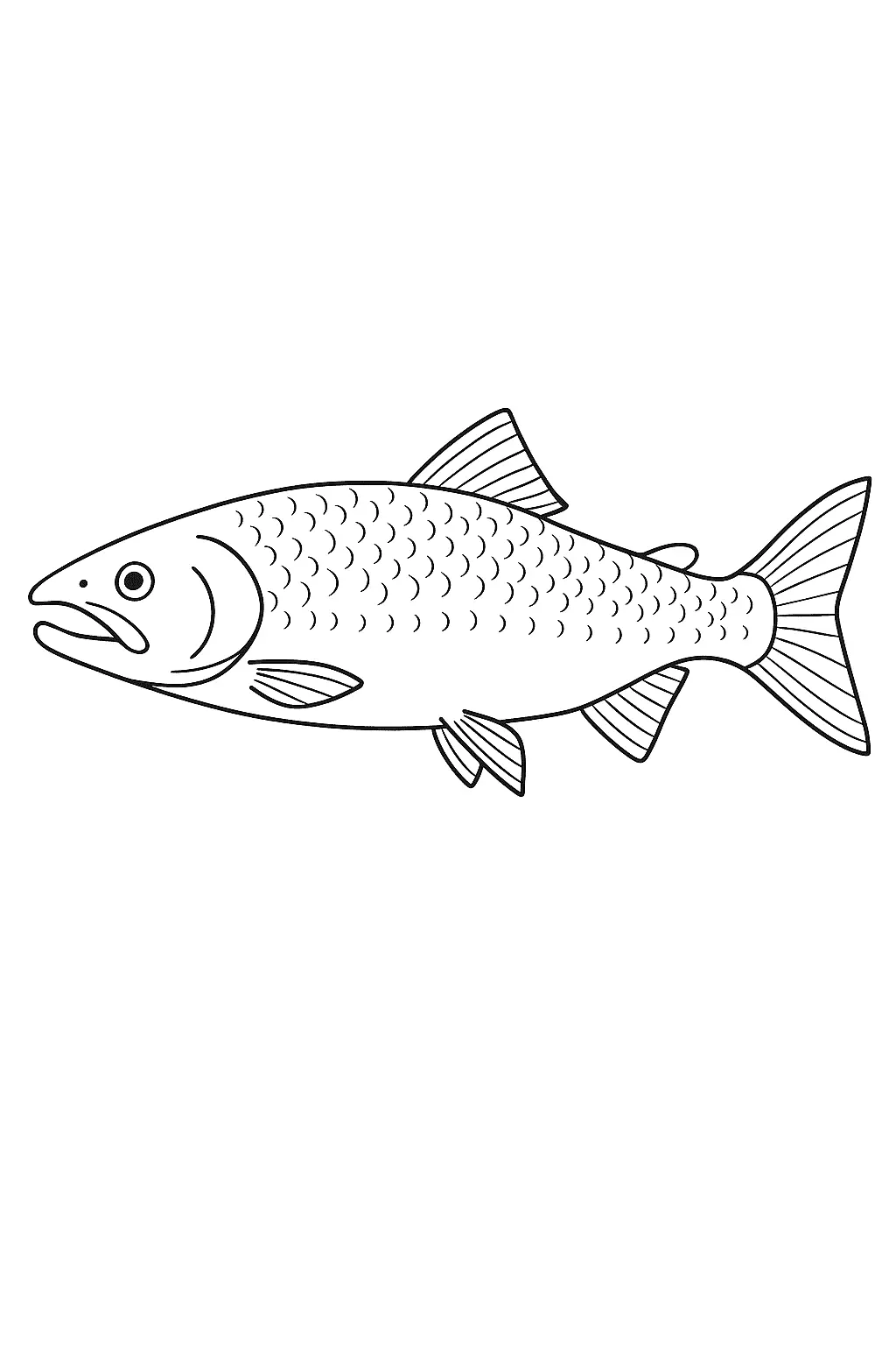 Fish Coloring Pages – 038