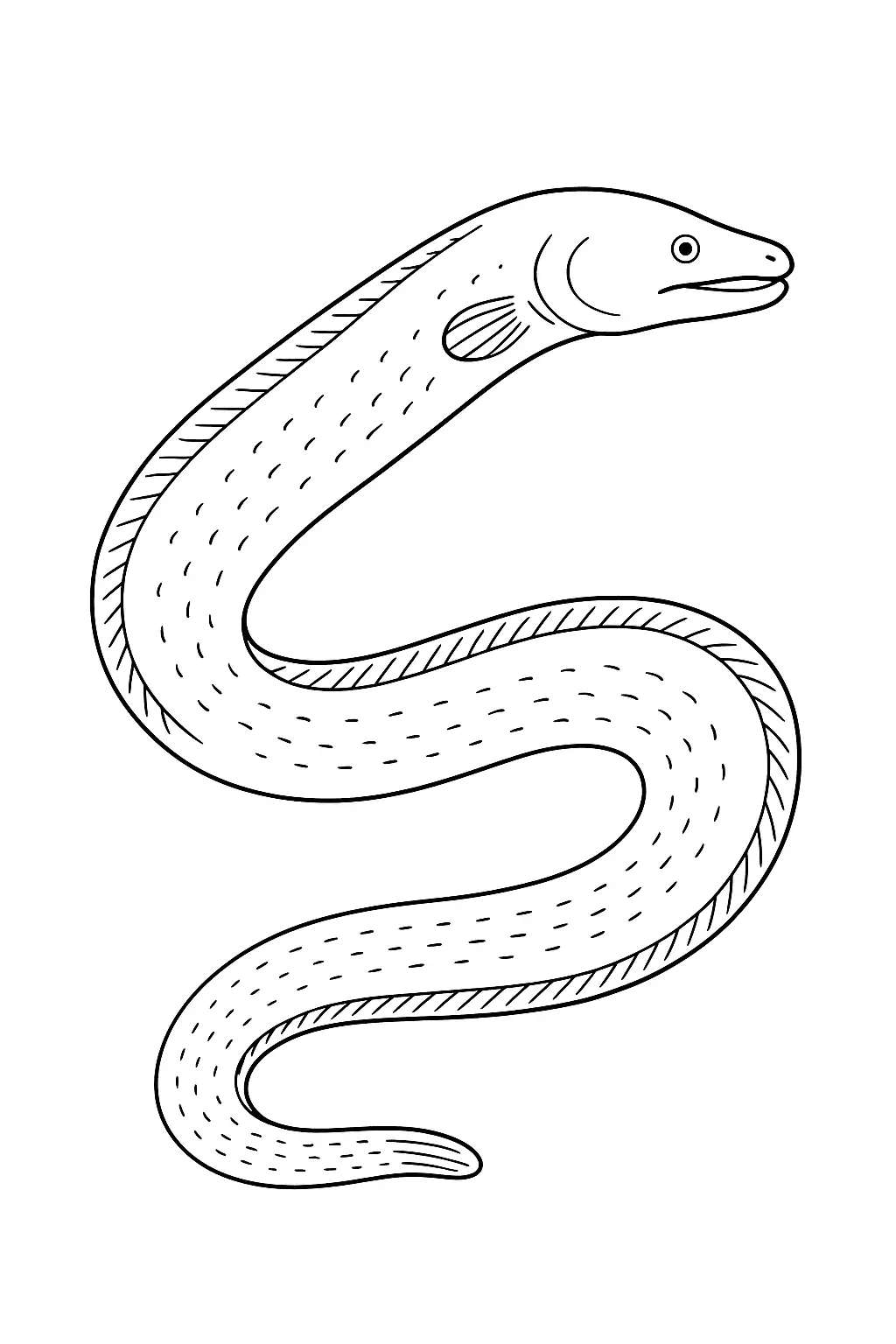 Fish Coloring Pages – 045