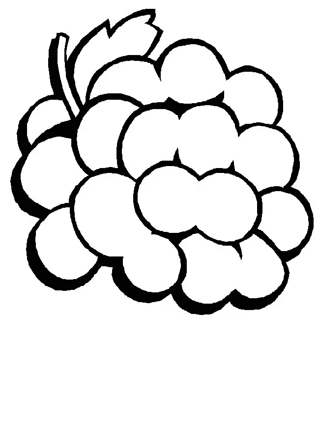 Fruits Coloring Pages – 007