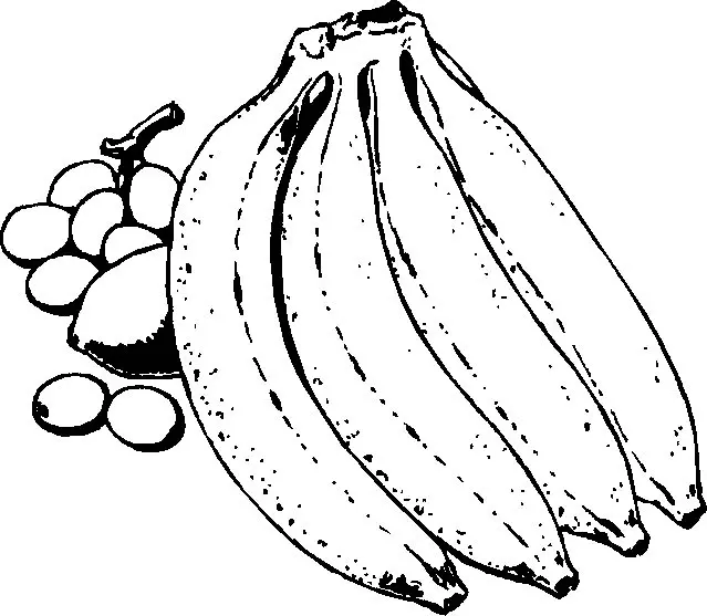 Fruits Coloring Pages – 009
