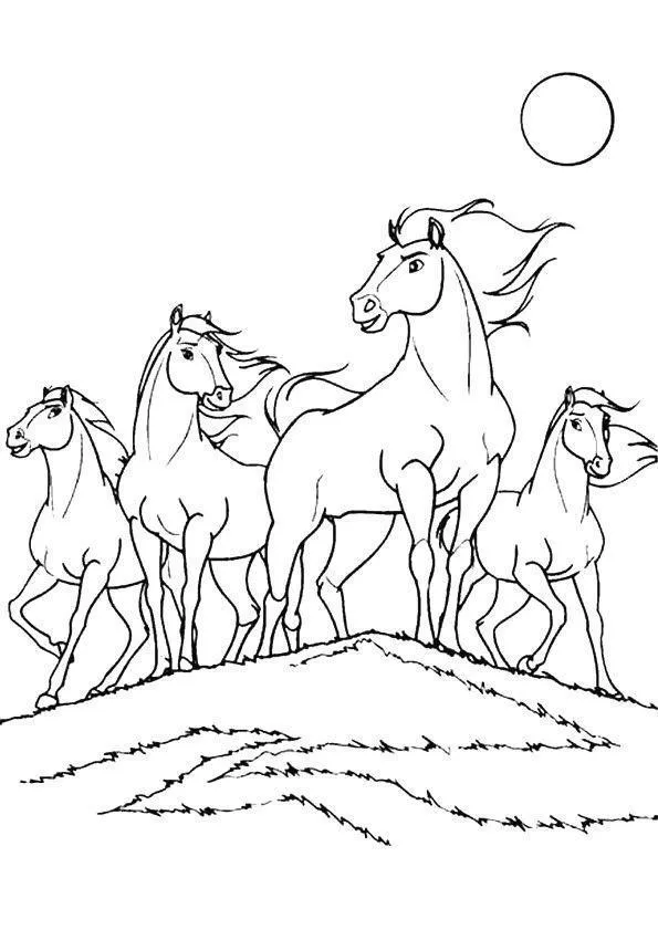 Horses Coloring Pages – 009