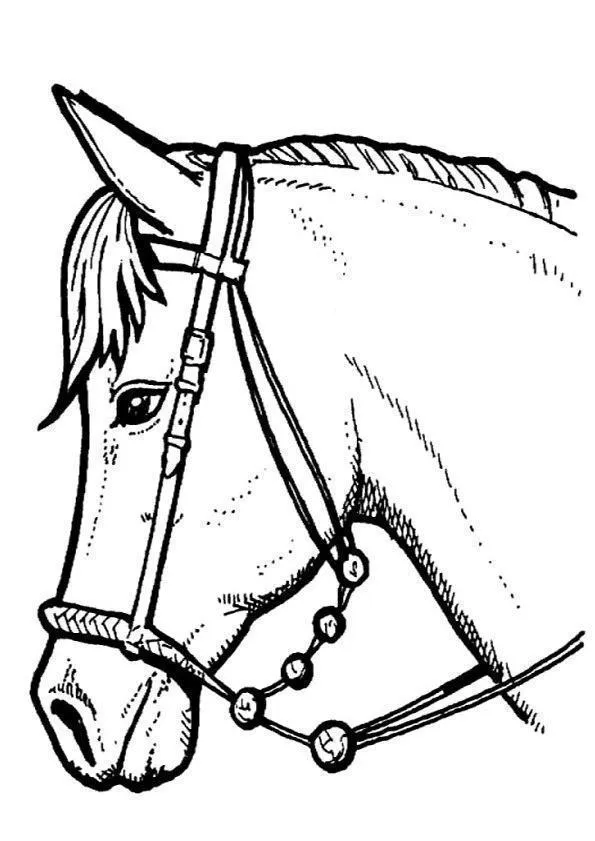 Horses Coloring Pages – 010
