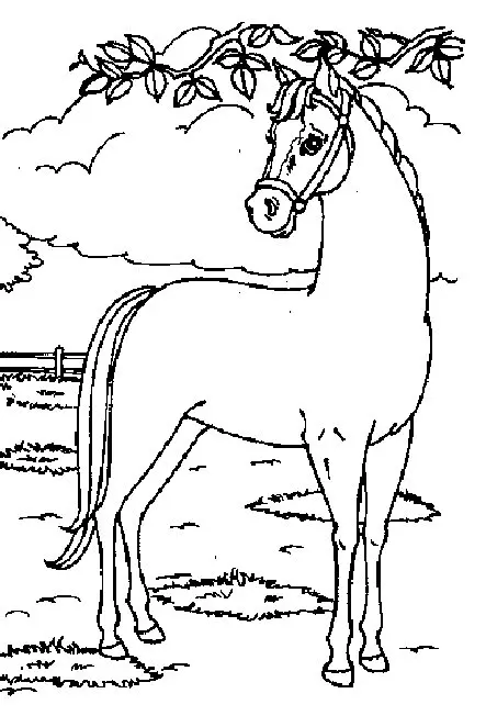 Horses Coloring Pages – 013