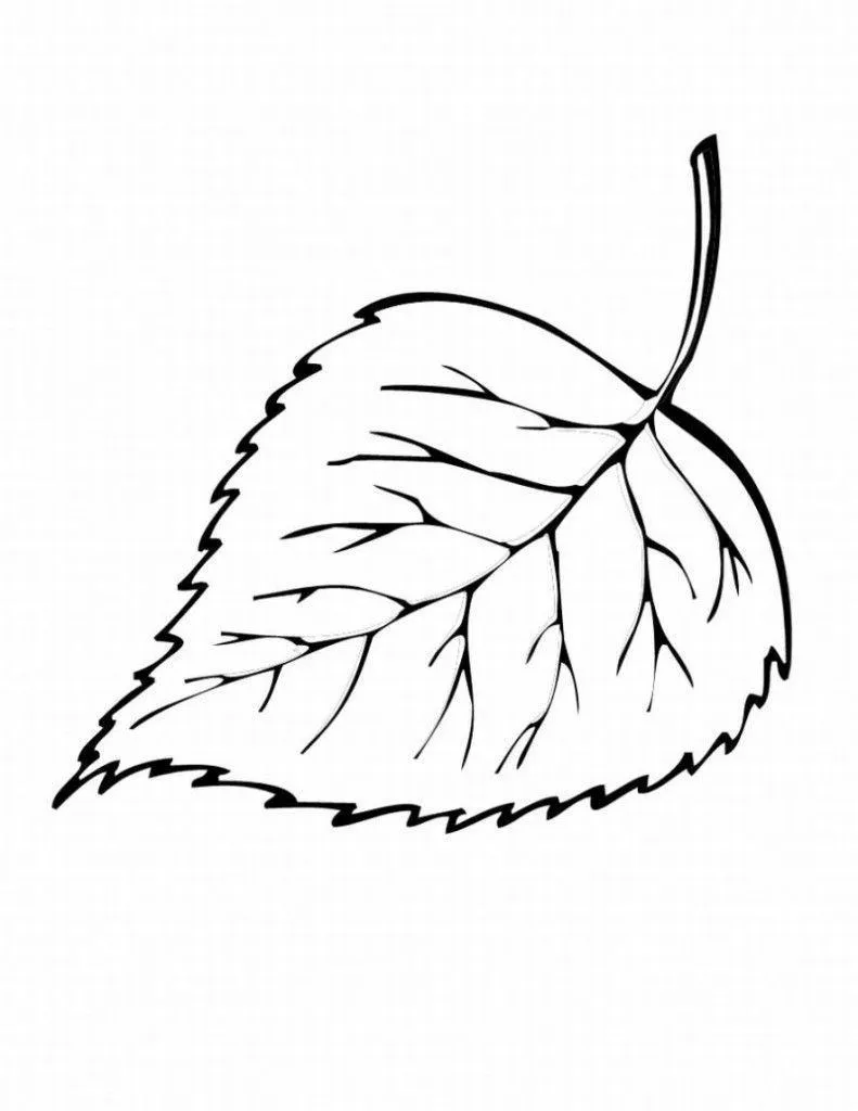 Leaves Coloring Pages – 003