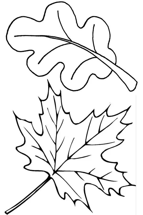 Leaves Coloring Pages – 006