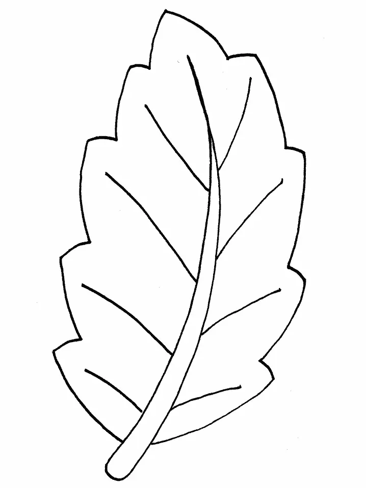 Leaves Coloring Pages – 009