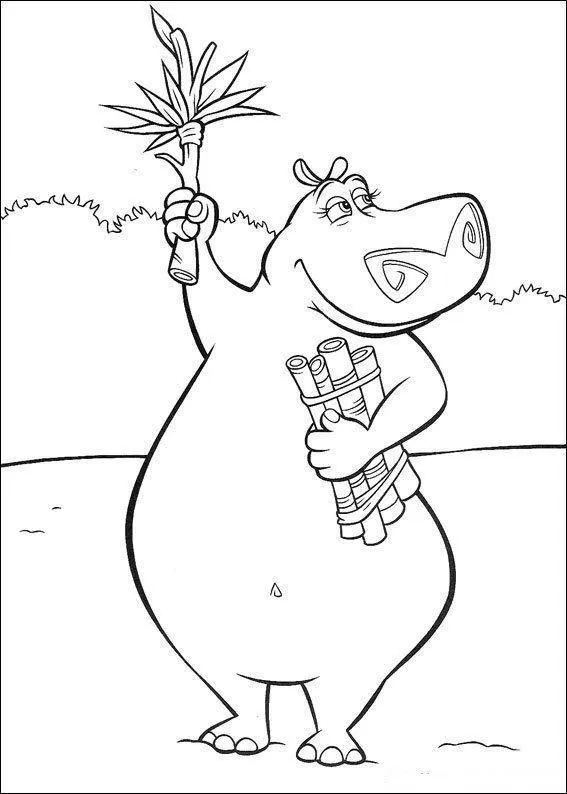 Madagascar Coloring Pages – 006